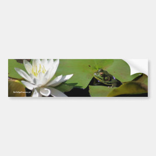 Bildekal för foto för grodanäckrosblomma