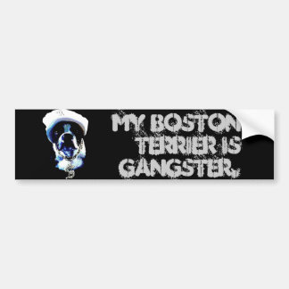Bildekal för gangsterBoston Terrier