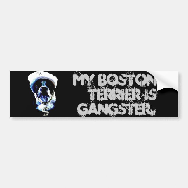 Bildekal för gangsterBoston Terrier (Framsidan)