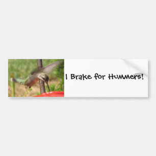 Bildekal för Hummingbird AF