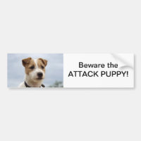 Bildekal för jackRussell Terrier
