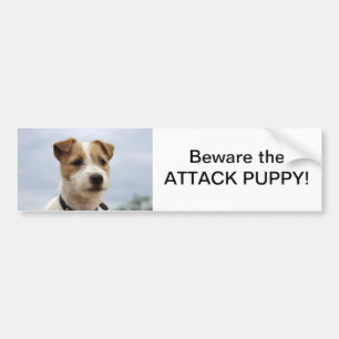 Bildekal för jackRussell Terrier