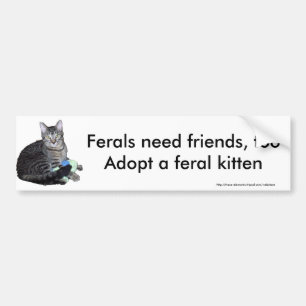 Bildekal för kattunge "för Ferals behovsvänner"