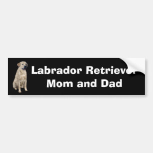 Bildekal för Labrador Retriever