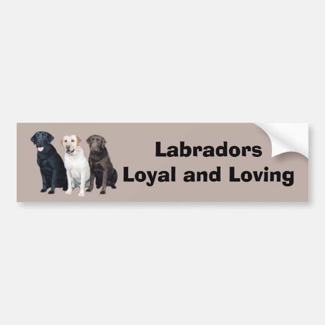 Bildekal för Labrador Retriever (Framsidan)