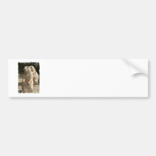 Bildekal för präriehundfoto