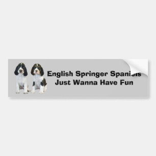 Bildekal för Spaniel för engelsk Springer