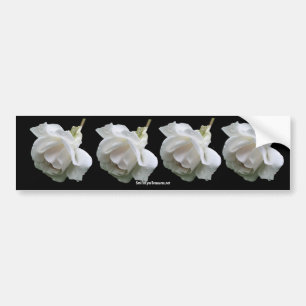 Bildekal för vit rosblommafoto