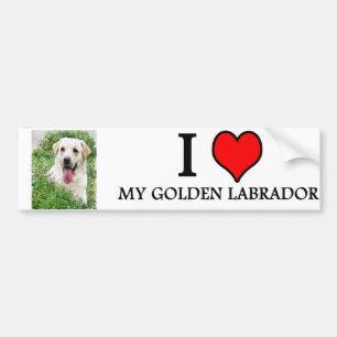 bildekal GULD- LABRADOR