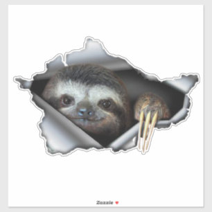 Bildekaldekaler Koala-bildekaler Koala Klistermärken