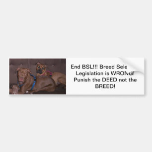 Bildekalen avslutar BSL Bildekal