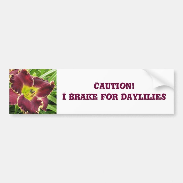 Bildekalet bromsar för Daylilies Bildekal (Framsidan)