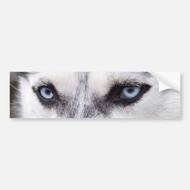 BILDEKALHUSKY BILDEKAL (Framsidan)