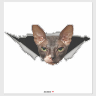 Bildel för bil Sphynx katt dekal Sphynx dekal