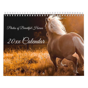 Bilder av kalender för vackra hästar