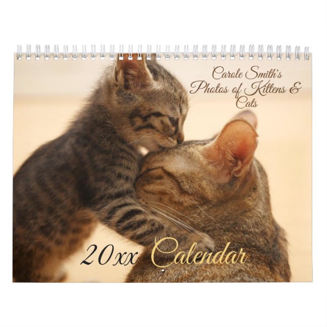 Bilder av katter och kittens 20XX-kalender Kalender (Omslag)