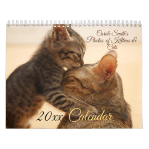 Bilder av katter och kittens 20XX-kalender Kalender