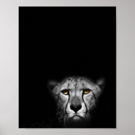 Bilder av stenar, leopard, svart och vitt poster