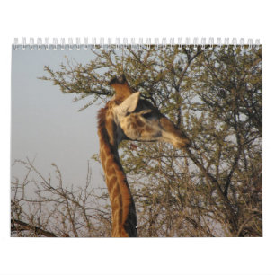 Bilder av Sydafrika Kalender