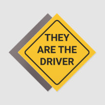 Bildmagnet - De sitter vid ratten