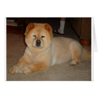 Bildobjekt Hälsningskort