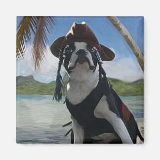 Bildpunktspil för Jack Magnet