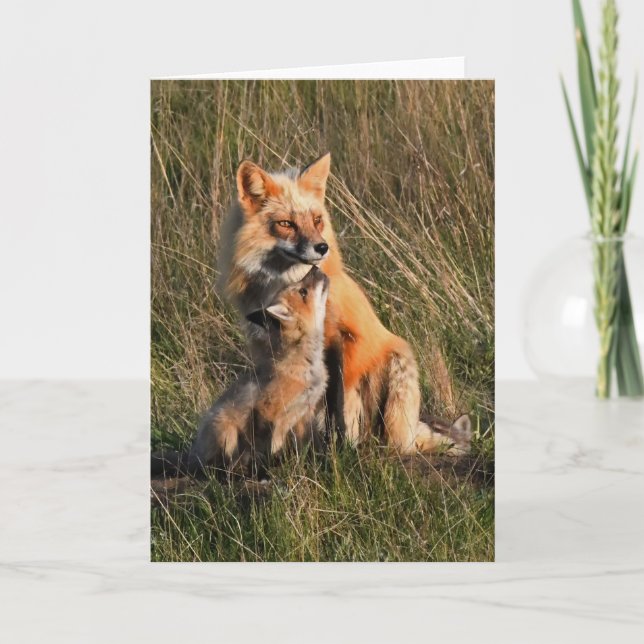 Bildrutekort för pappa och Baby Fox Helgkort (Framsida)