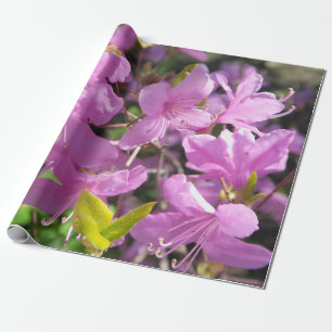 Bildruteslut liggande presentpapper