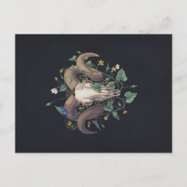 Bildserie Leben Und Tod: Schafschädel Vykort