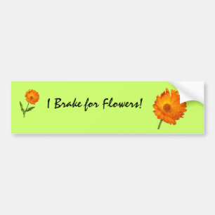 Bildsticker - Ringblomma på stjälk Bildekal