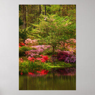 Bildtext liggande poster