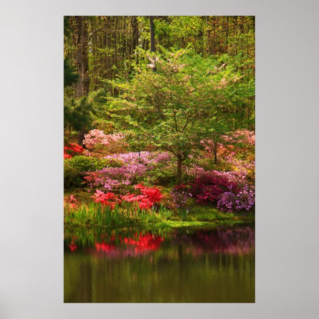 Bildtext liggande poster (Framsidan)