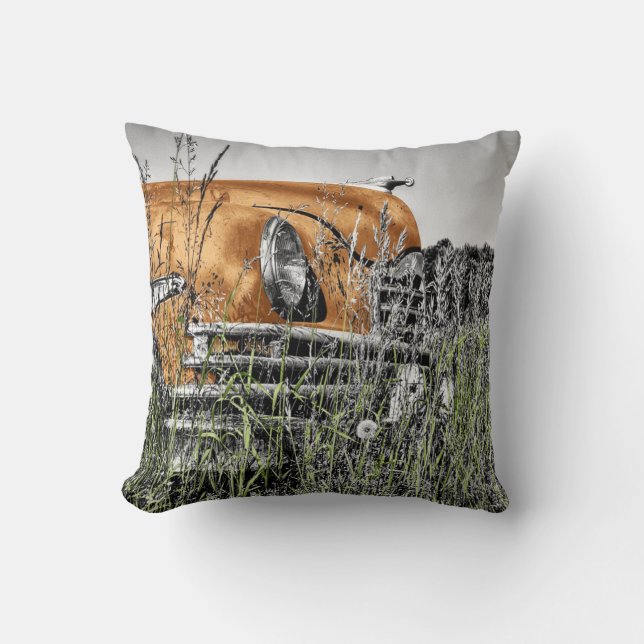 Bilen mitt i Ogräs Kudde (Framsida)