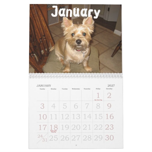 Bilgewater kalender (Jan 2027)