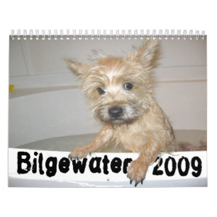 Bilgewater kalender