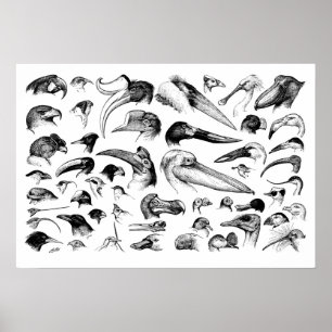 Biljettdiagram Poster