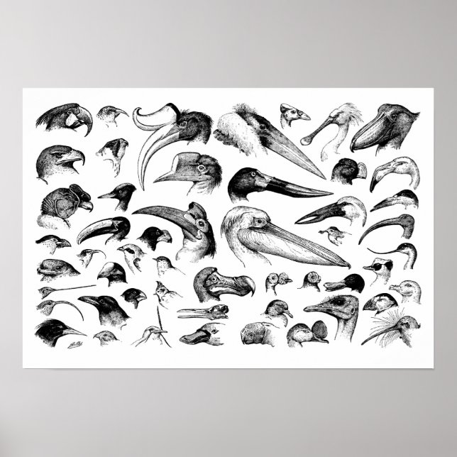 Biljettdiagram Poster (Framsidan)