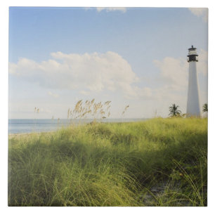 Bill Baggs Cape Florida fyr, Bill Baggs Kakelplatta