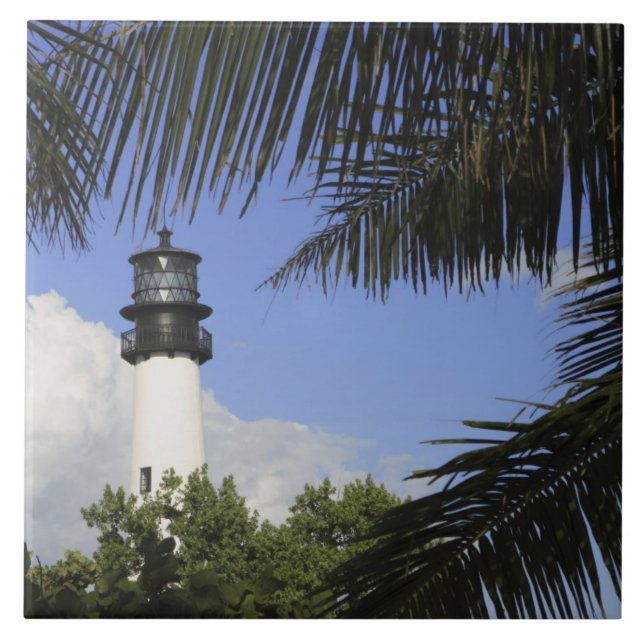 Bill Baggs Cape Florida Lighthouse, Bill Baggs 2 Kakelplatta (Framsidan)