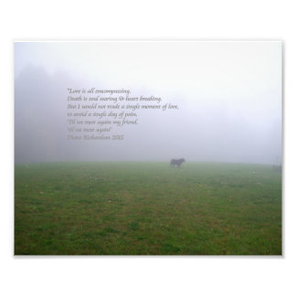 Bill in the Fog, en ode till avskilda hund-vänner Fototryck