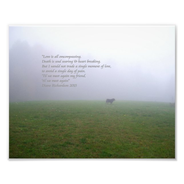 Bill in the Fog, en ode till avskilda hund-vänner Fototryck (Framsidan)