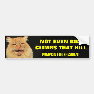 Bill klättrar inte upp Backe.. Pumpkin till presid Bildekal