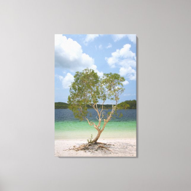 BILLABONG TRÄD 24x36 Canvastryck (Framsida)