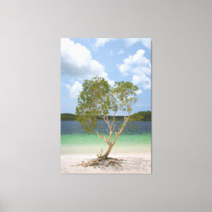 BILLABONG TRÄD 40 x 60 Canvastryck