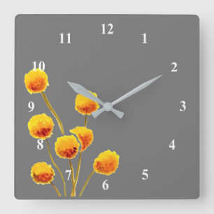 Billy Button gult Australien, infödd blomma Fyrkantig Klocka