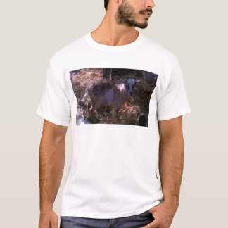 Billy get Joel T-shirt