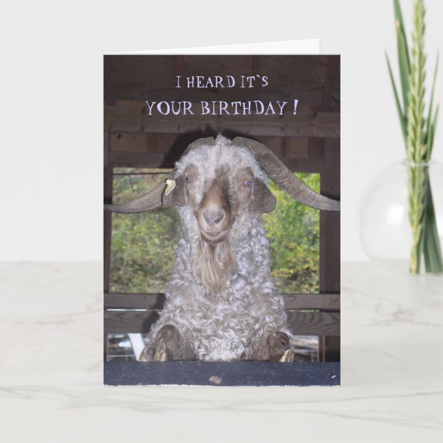 BILLY GOAT BIRTHDAY CARD KORT (Framsida)