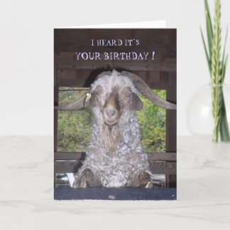 BILLY GOAT BIRTHDAY CARD KORT