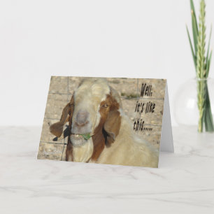 Billy Goat Card - för alla tillfälle Kort
