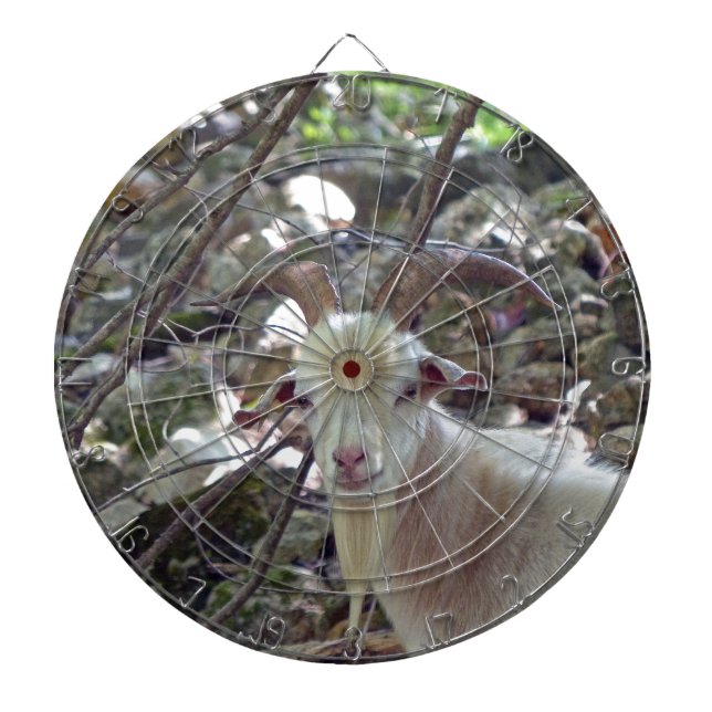 Billy Goat Darttavla (Framsidan)